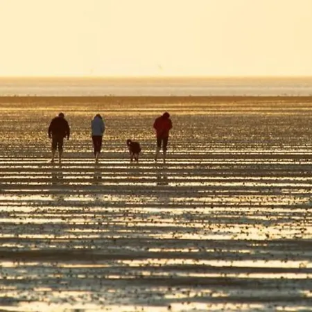 Im Norden! De Seenodel Dorumer Neufeld